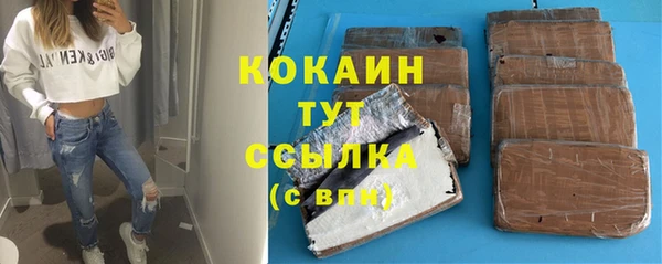 стаф Сосновый Бор