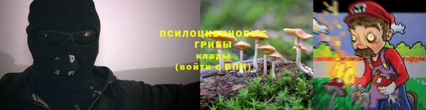 бутик Снежногорск