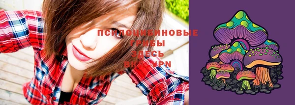 бутик Снежногорск
