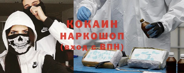 стафф Сосновоборск