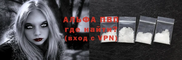 стаф Сосновый Бор