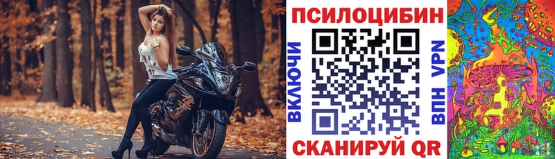 Галлюциногенные грибы мицелий  Купить закладки  Севск 